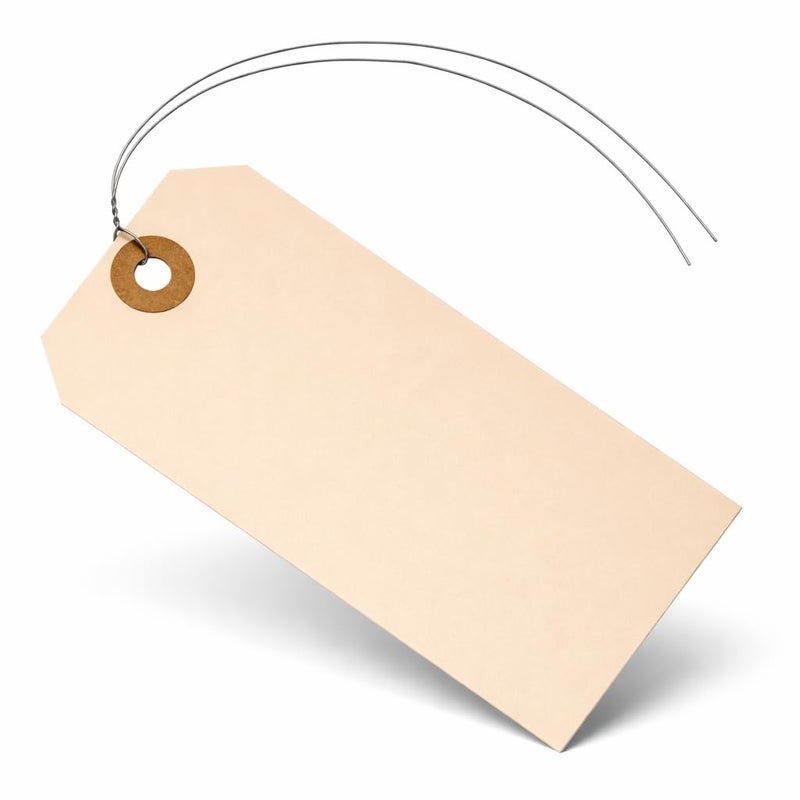 EZDOM Label Tags with Wire Attached - 4 3/4" x 2 3/8" Box of 100 Blank Manila Tags with Reinforced Hole and Metal Wire Ties, Labels with Wire - Image 1